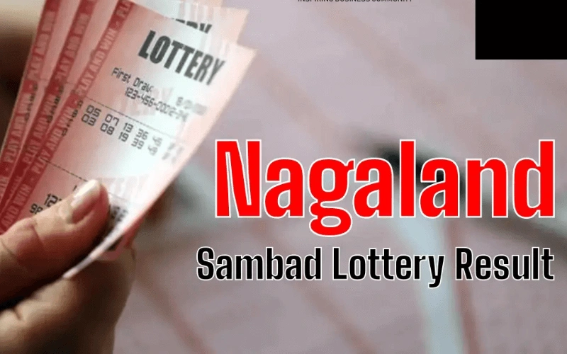 nagaland state lottery today at 91 Club body image